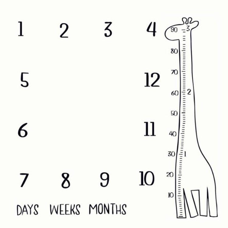 Baby Monthly Blanket Giraffe - iKids