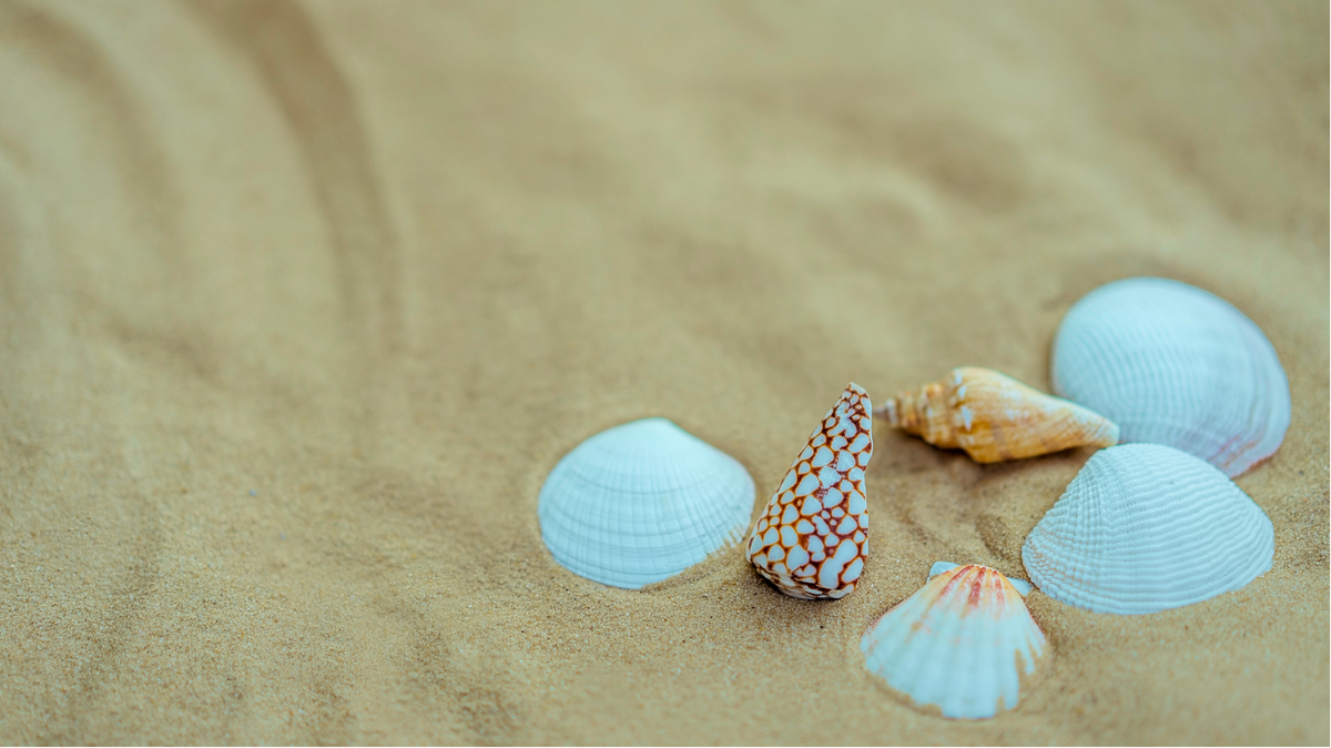 Themed Learning: How to Teach Kids About the Seasons
