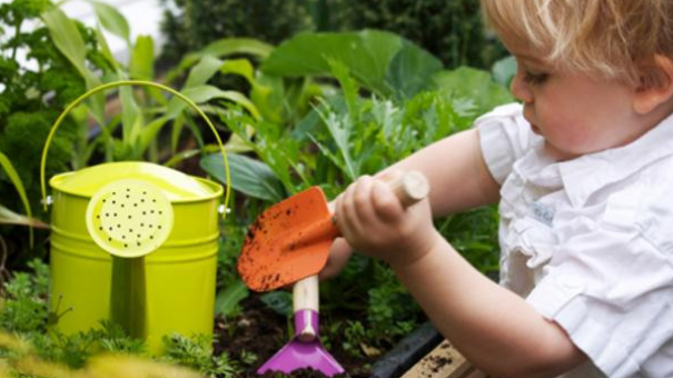 Winter Planting Guide for Children