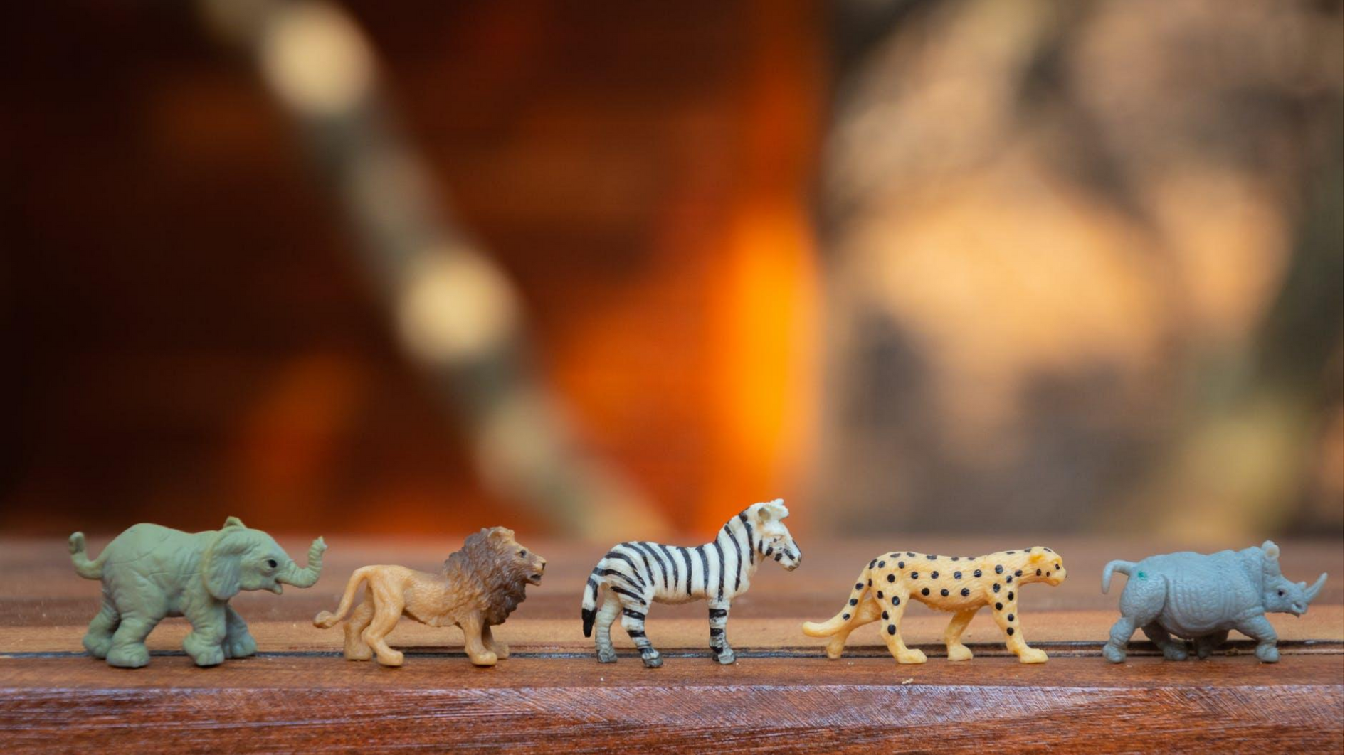 Themed Learning: Wild Animal Activities for Children