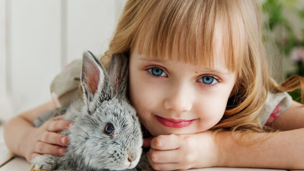 How to Look After a Pet: Pet Care for Children