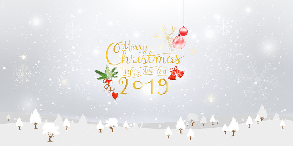 Merry Christmas & Happy New Year 2019
