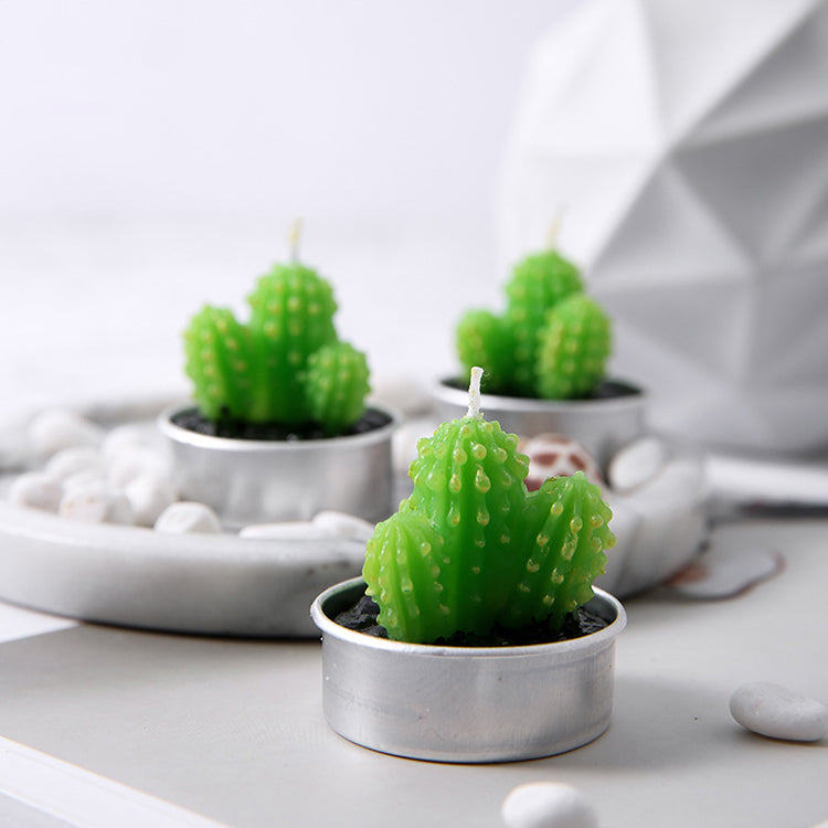 Succulent Plant Candle Set | Cactus - iKids