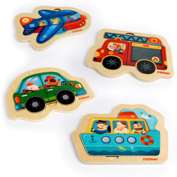 Discovery Puzzle Set 4 in 1