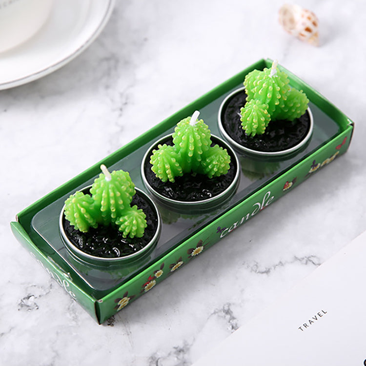 Succulent Plant Candle Set | Cactus - iKids