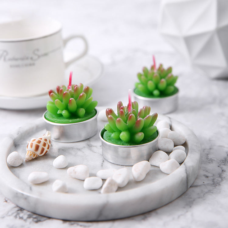 Succulent Plant Candle Set | Jelly Bean - iKids