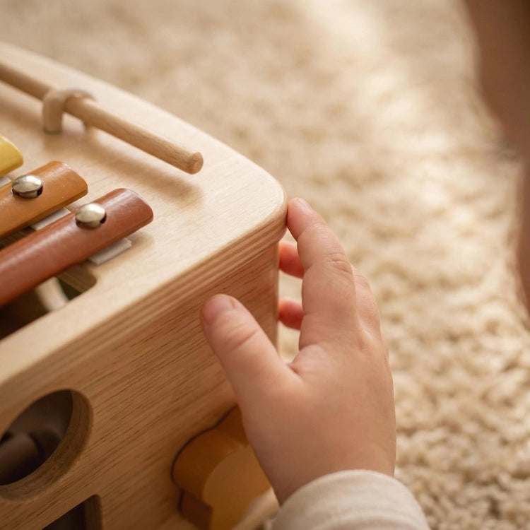 5 in 1 Mushroom Wooden Activity Cube from iKids.co.za