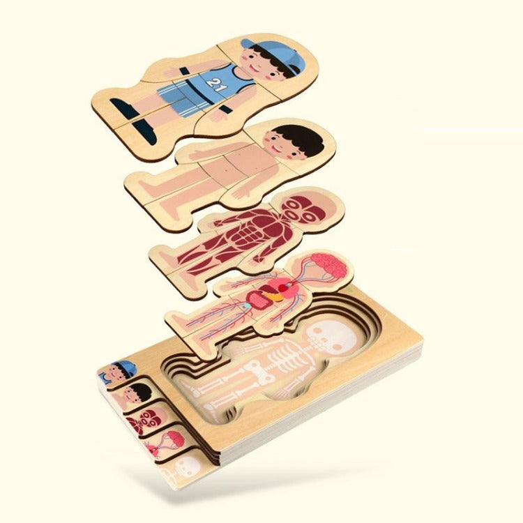 Wooden Boy Human Body Layer Puzzle - iKids