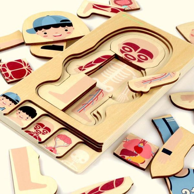 Wooden Boy Human Body Layer Puzzle - iKids