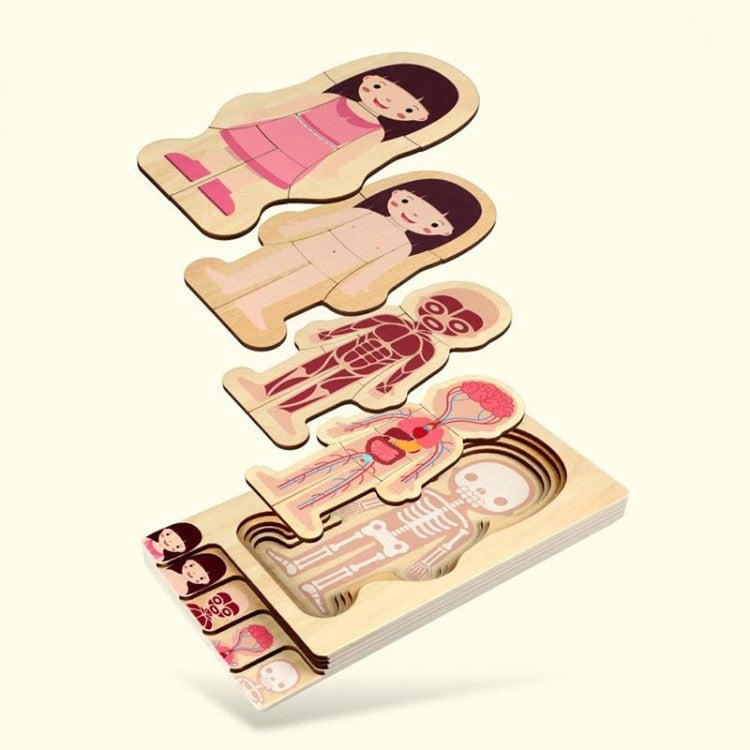 Wooden Girl Human Body Layer Puzzle - iKids