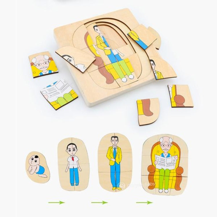 Wooden Man Growth Layered Puzzle - iKids