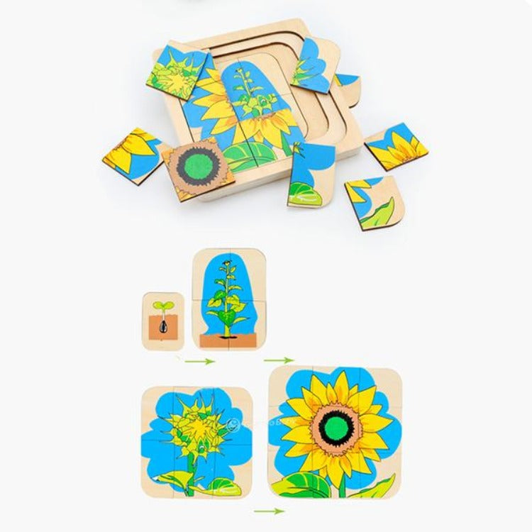 Wooden Sunflower Growth Layered Puzzle - iKids