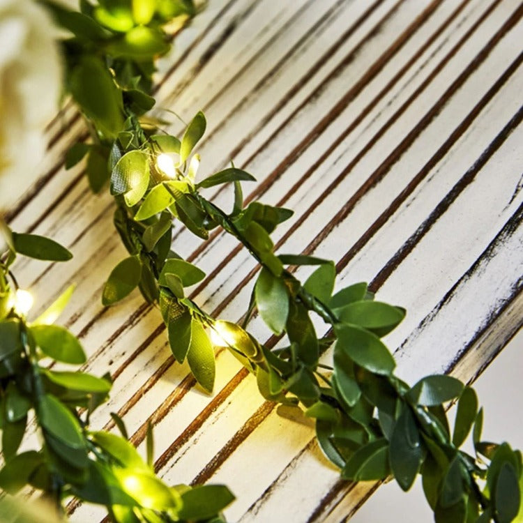 Green Leaf String Lights | 10m Solar - iKids